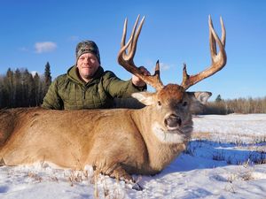 Alberta whitetail hunting